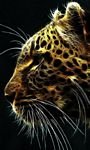pic for Fractal Leopard 